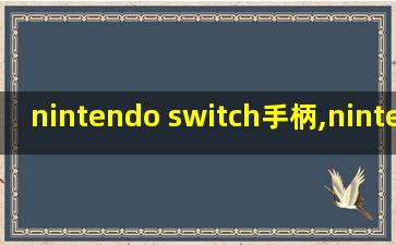 nintendo switch手柄,nintendo switch官网